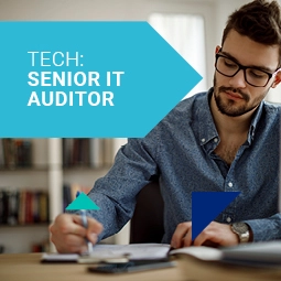 Tech: Senior IT Auditor